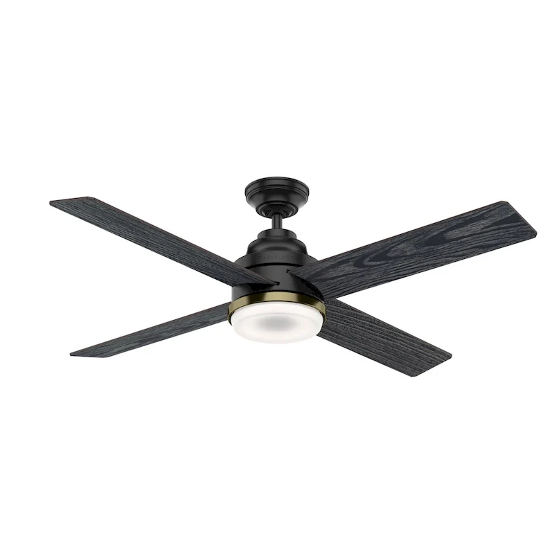 Casablanca 54  Daphne Ceiling Fan with LED Light Kit and Wall Control - Transitional