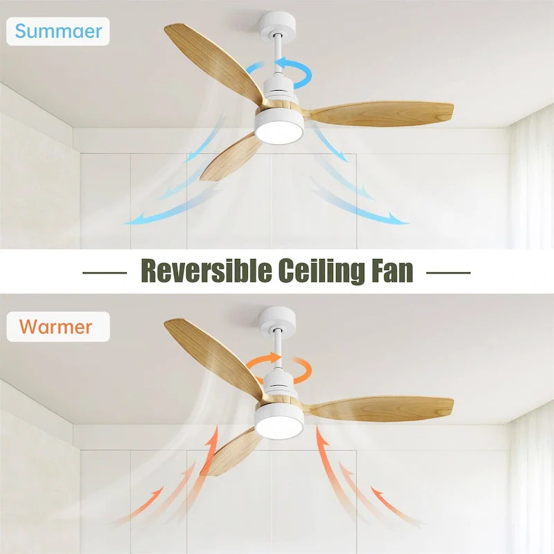 Modern Ceiling Fan With Led Light