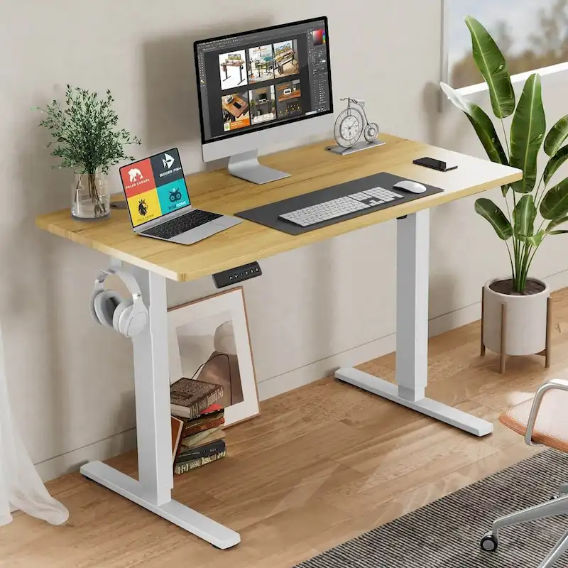 Electric Height Adjustable Standing Desk,Sit to Stand Ergonomic Computer Desk, 55 x 24