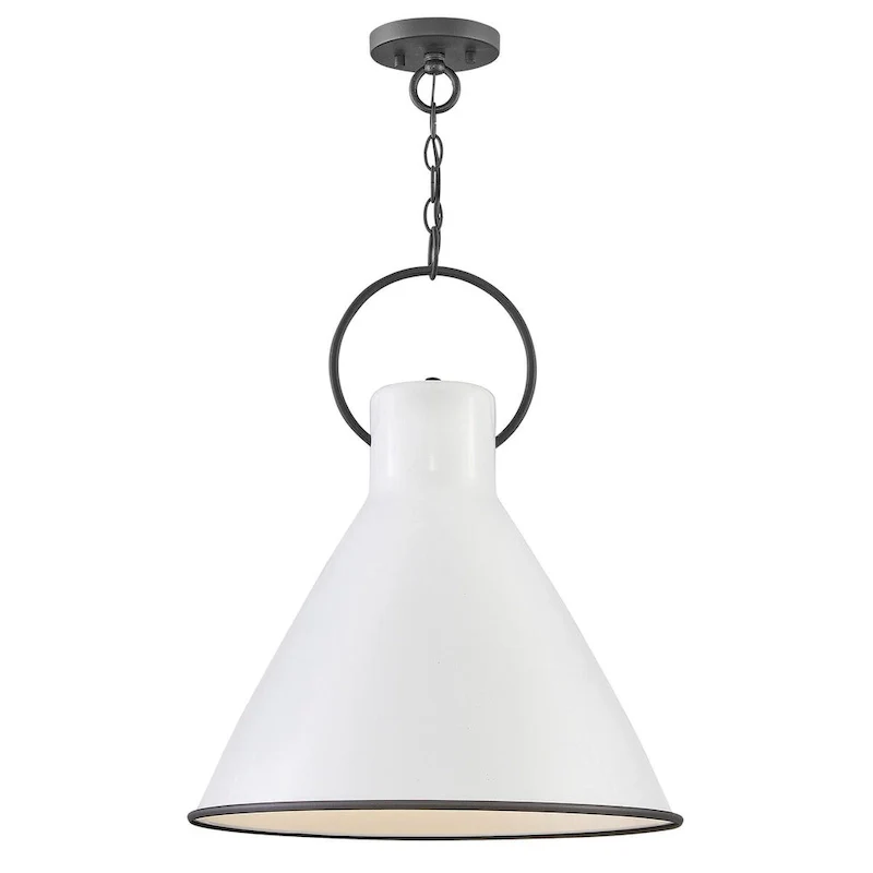 Hinkley Lighting Winnie Single Light 18  Wide Pendant