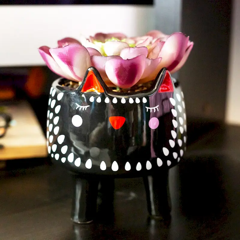 Faux Succulent in 4.75  Small Black Cat Ceramic Planter