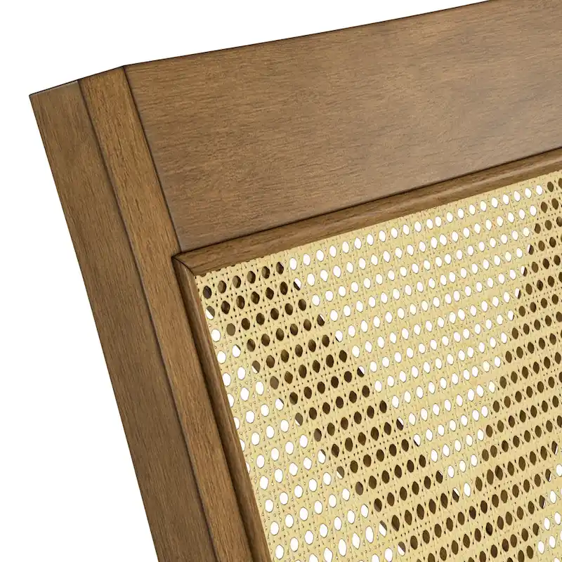 Plaga X-Back Cane Accent Dining Chair (Set of 2) by iNSPIRE Q Classic - Dining Chair