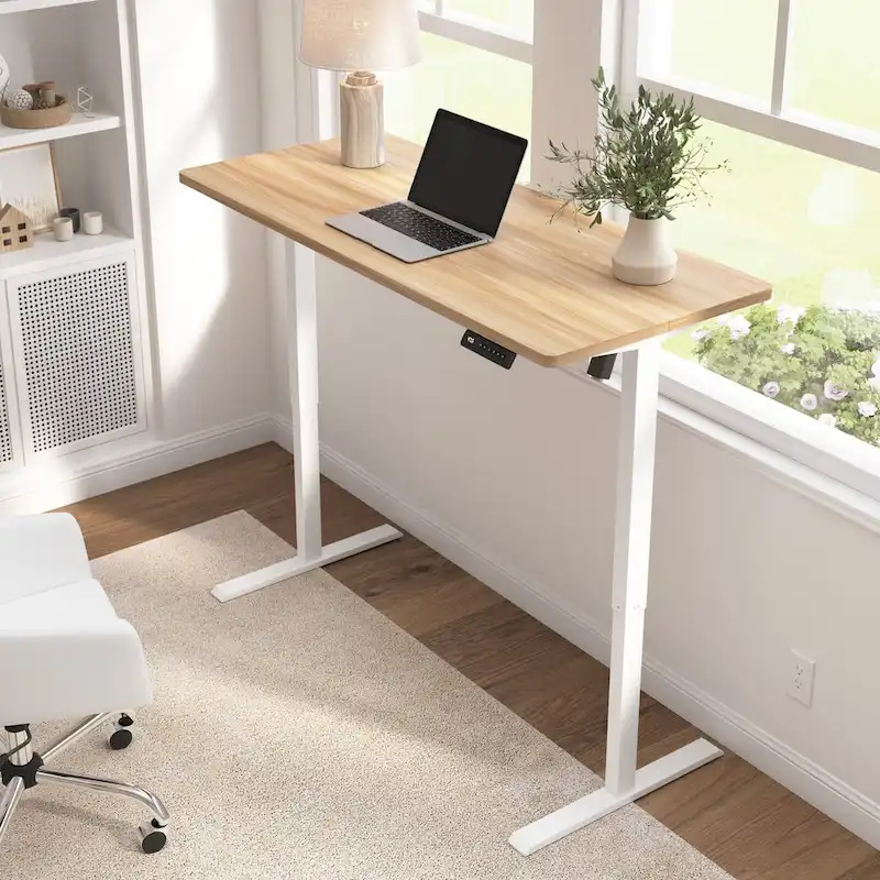 Energize 55W x 24D Height Adjustable Standing Desk by Bush Furniture