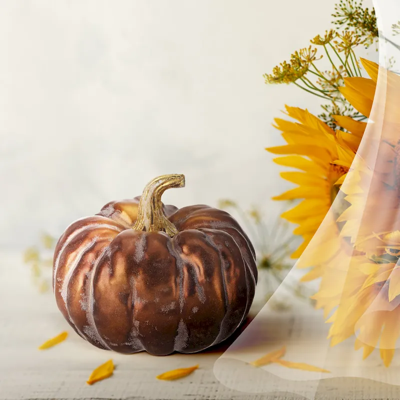 6  Autumn Pumpkin Set of 2 - strofoam:90% plastic:10%
