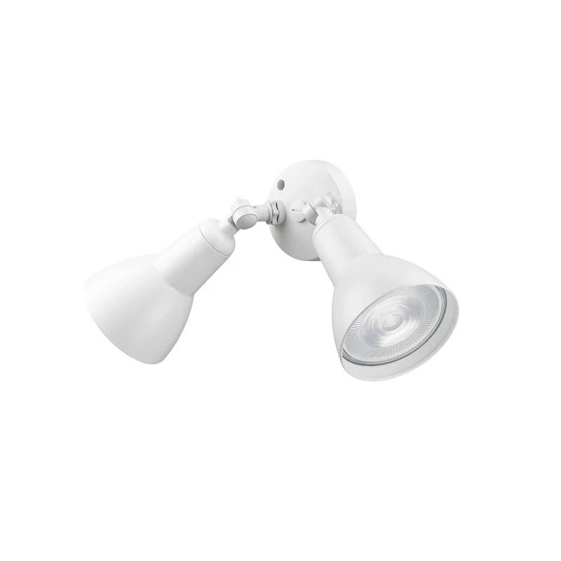 Millennium Lighting 2 Light LED Flood Light Fixture