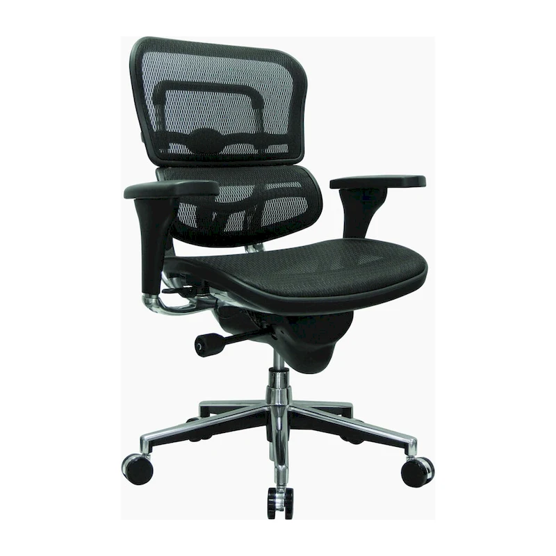 Eurotech Seating Ergohuman Mesh Managers Chair
