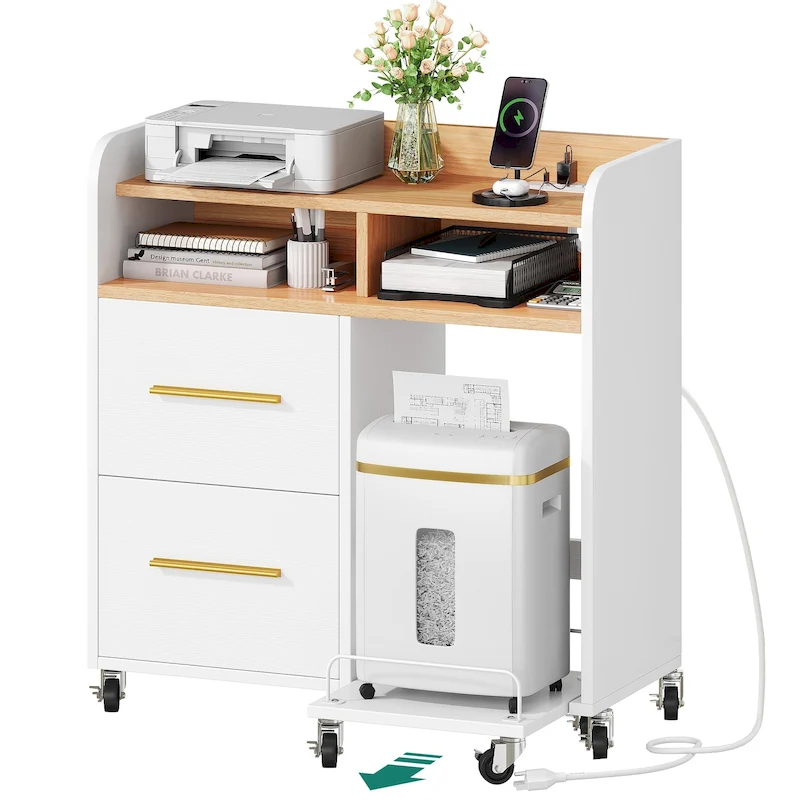 Moasis 2 Drawer Rolling File Cabinet with Printer Stand Cart for Home Office