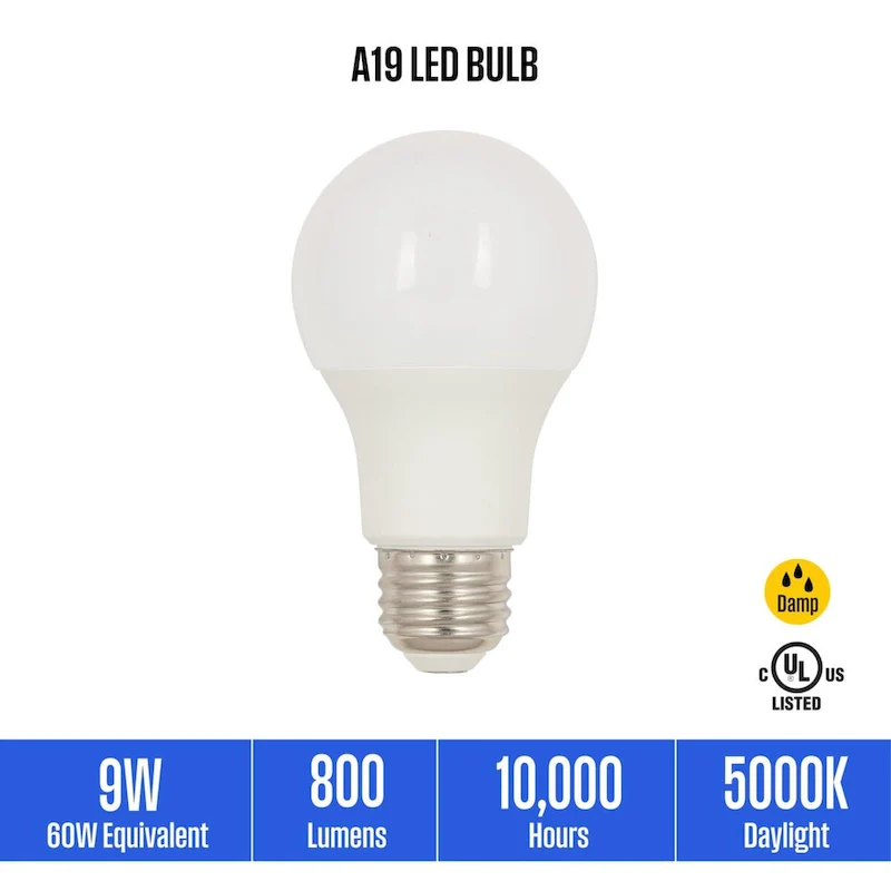 Westinghouse Lighting 9 Watt (60 Watt Equivalent) A19 Daylight LED Light Bulb, Medium Base, 6 Pack - White - 6-Pack