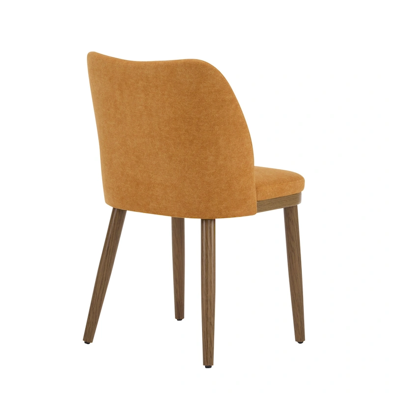 Aviana Fabric Upholstered Dining Chairs (Set of 2) by Christopher Knight Home