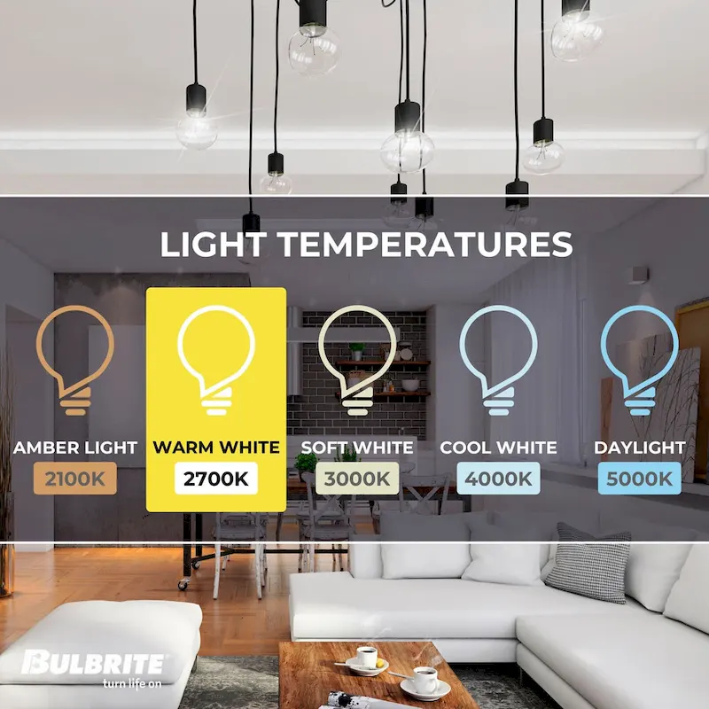 Bulbrite Pack of (12) Dimmable G40 Incandescent Light Bulbs with Medium (E26) Base, 2700K Warm White Light
