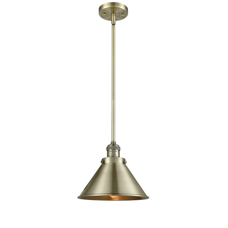 Innovations Lighting Briarcliff - 1 Light 10  Mini Pendant