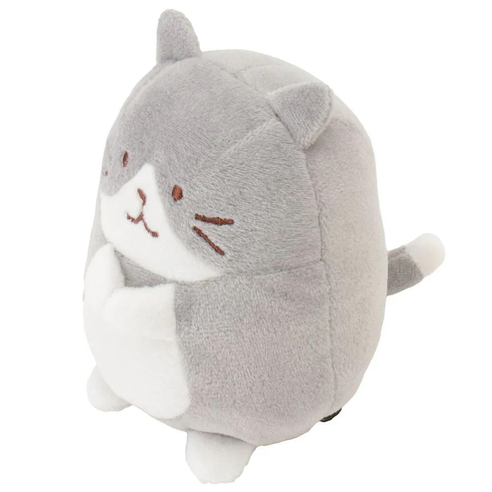 Hapins Kitten Medium Ragdoll Cat