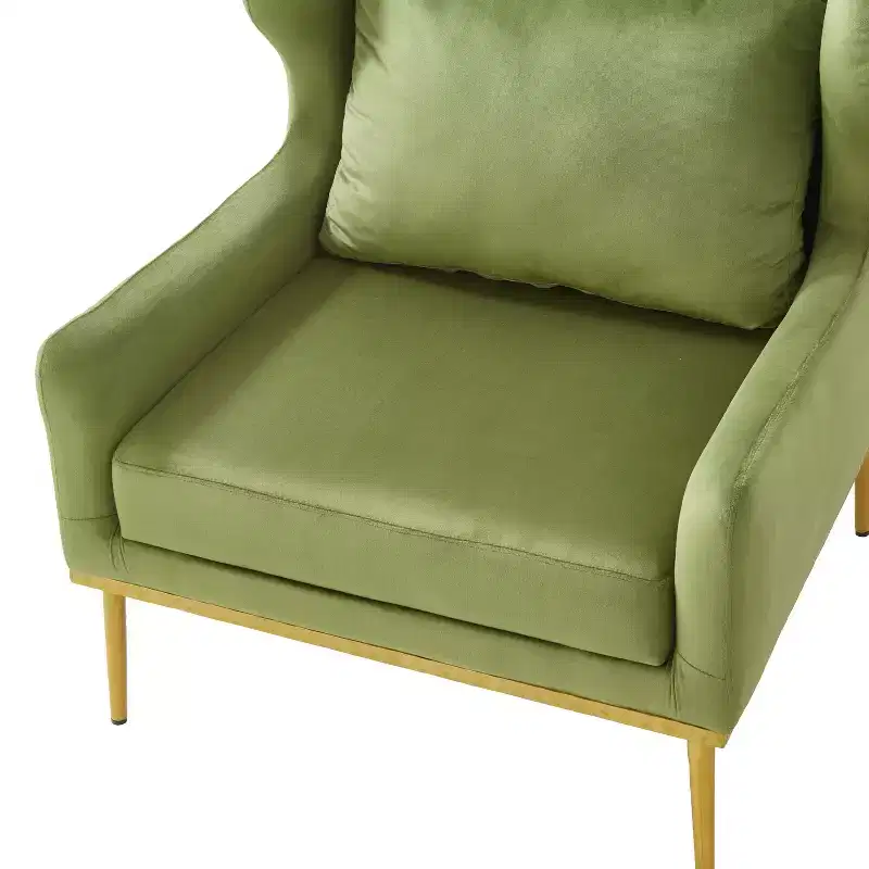 Christopher Knight Home Galina Modern Velvet Armchair with Pillow