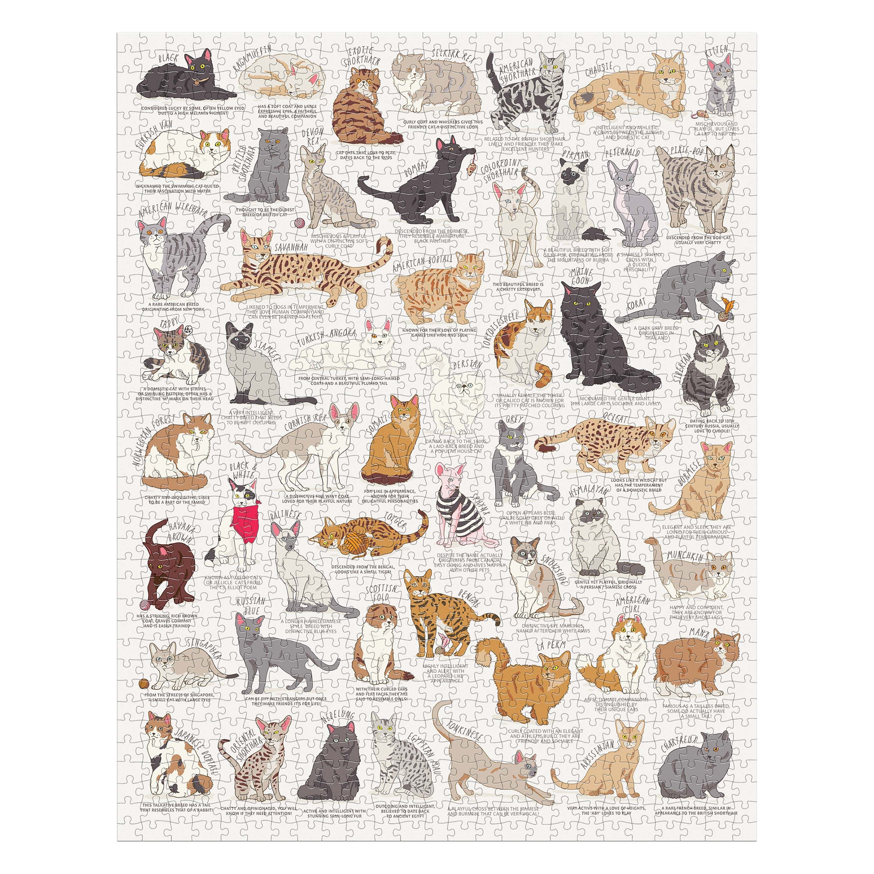 Ridley's Cat Lover's 1000 Piece Jigsaw Puzzle