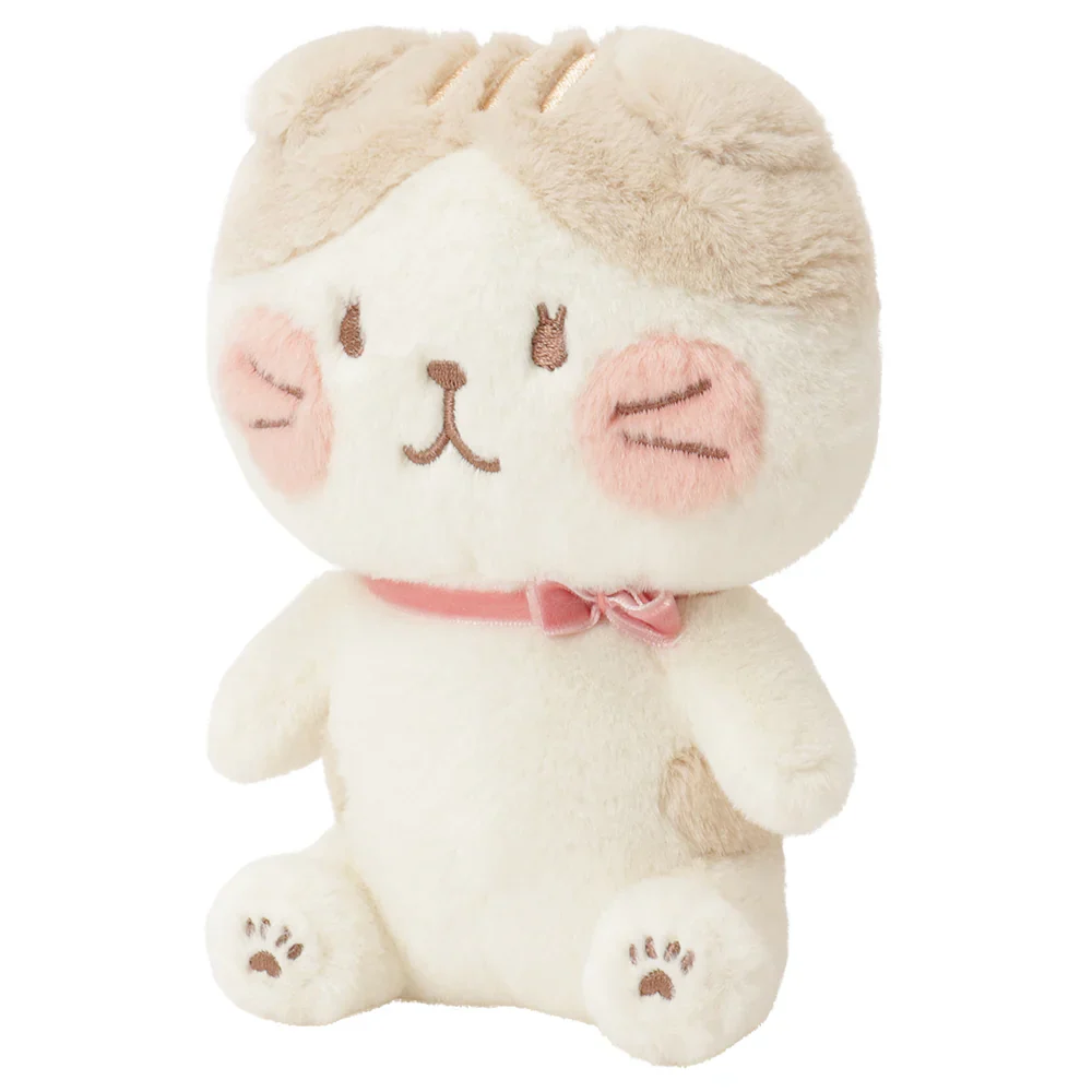 Hapins Blushing Lucky Series Scottish Fold