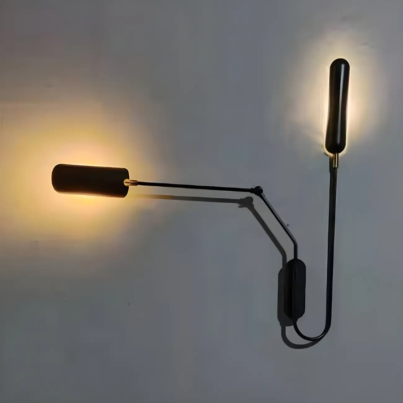Modern Black Metal 2-Light Swing Arm Wall Light