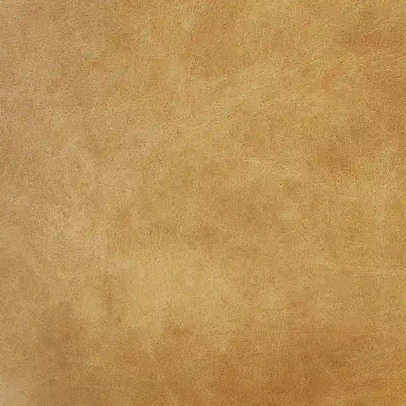 Art Leon Genuine Leather Accent Lounge Chair