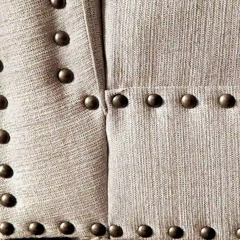 Sing Transitional Fabric Upholstered Nailhead Trim Chaise Lounge Chair by Furniture of America