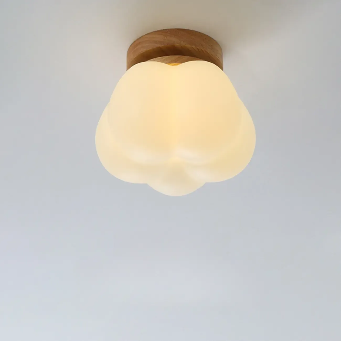 Modern Small White Resin Petal Wood Semi Flush Ceiling Light