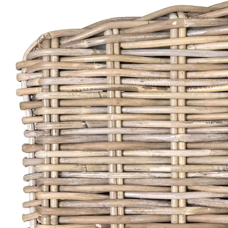 Natural Rattan Cushioned Dining Chairs by East at Main (Set of 2)