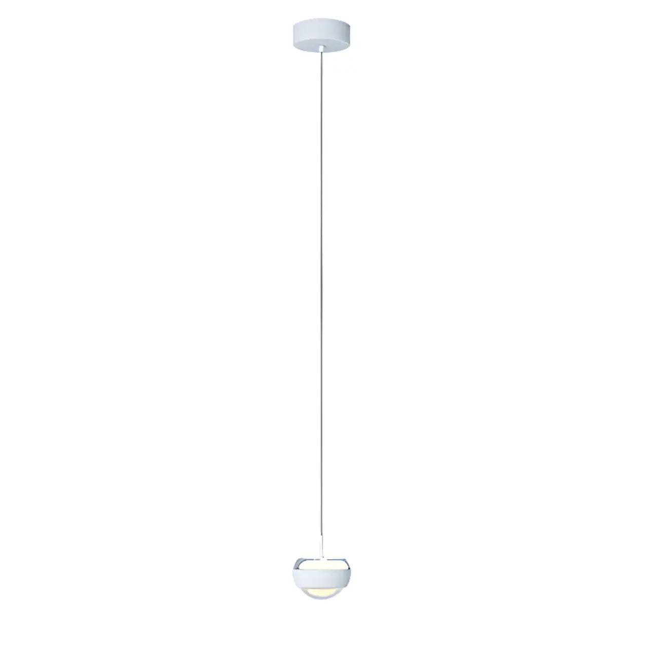Clear Acrylic Metal Globe 2-Light  Pendant Light