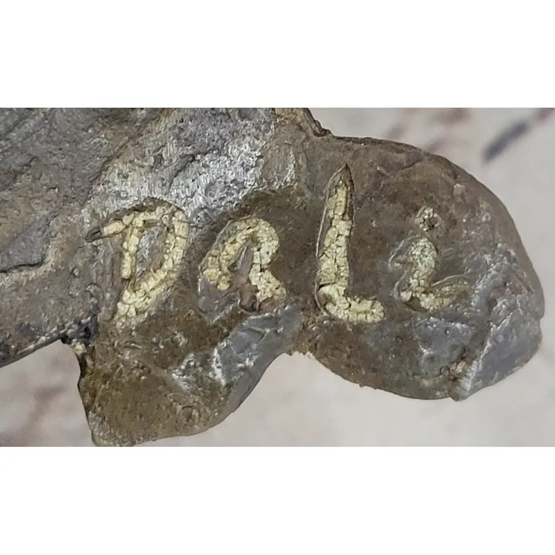 Abstract Surreal Female Bust Face Mask Butterflies Bronze Metal Sculpture Dali