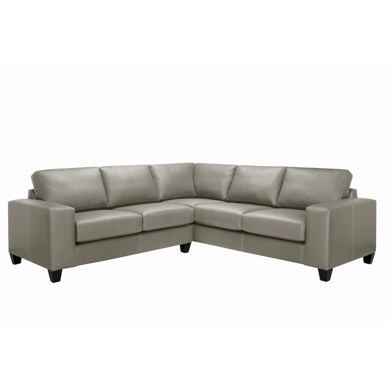 Paulina Top-grain Italian Leather Sectional Sofa