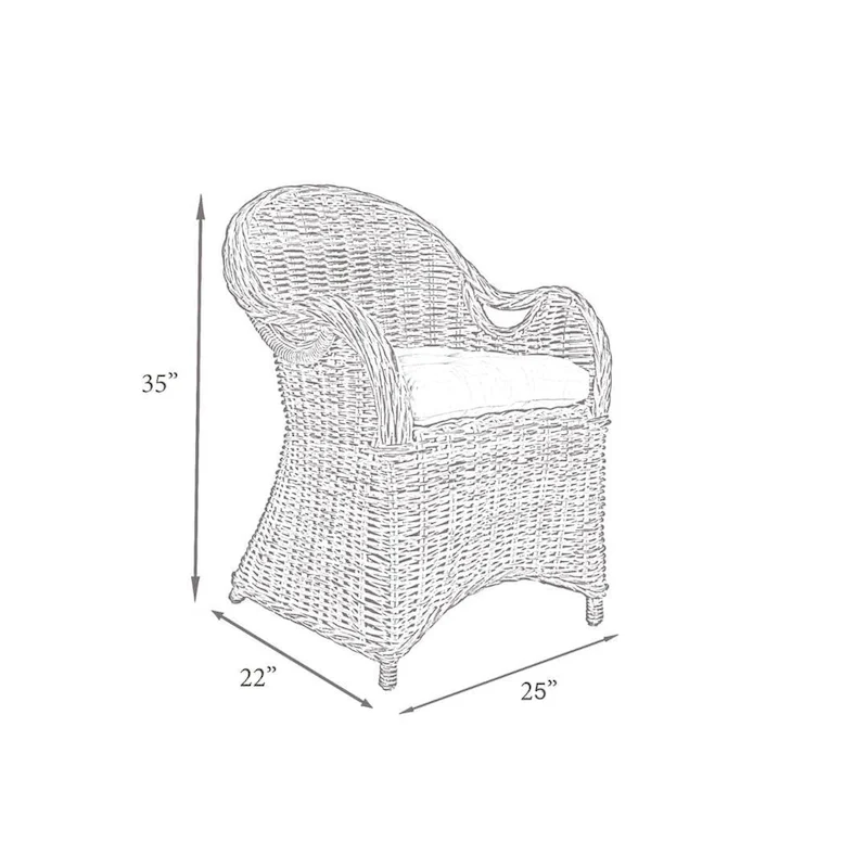 Natural Rattan Handwoven Wicker Armchair With Cushion by East at Main