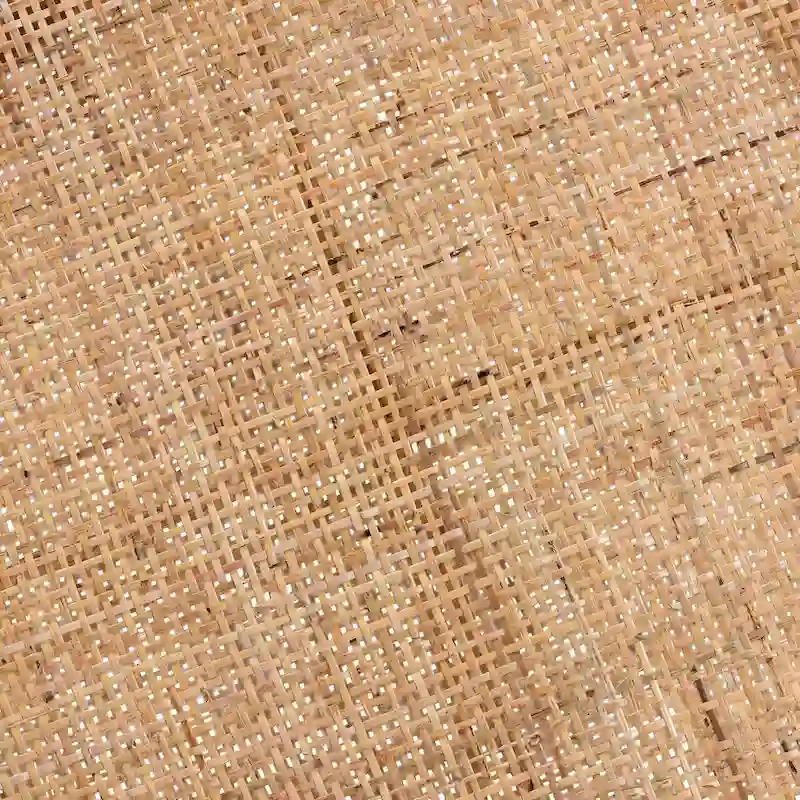 Bella Modern Bohemian Natural Brown Mahogany Wood and Natural Rattan 2-Tier End Table