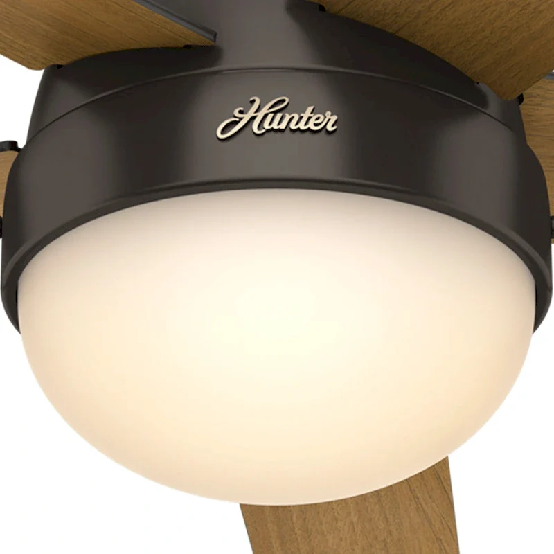 Hunter 46  Anslee Low Profile Ceiling Fan with LED Light Kit and Pull Chain - Silver