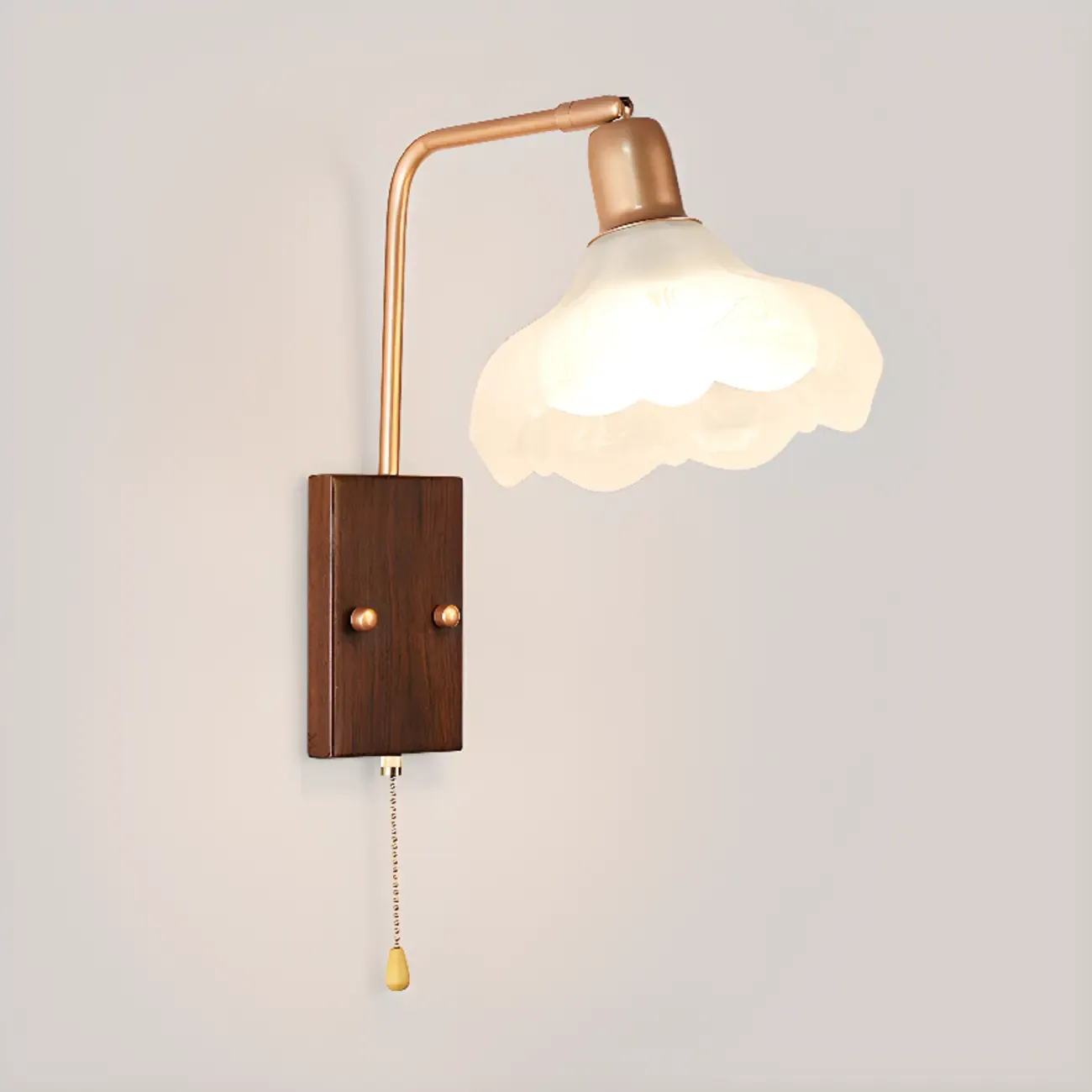 Elegant Swing Arm Wall Mount Light with Pull Chain Switch