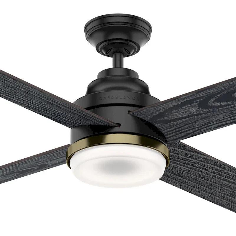 Casablanca 54  Daphne Ceiling Fan with LED Light Kit and Wall Control - Transitional