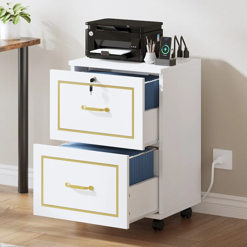 Moasis Mobile Filing Cabinet with 2 Drawers Printer Stand Fit A4, Letter Size, File Cabinet with Charging Station