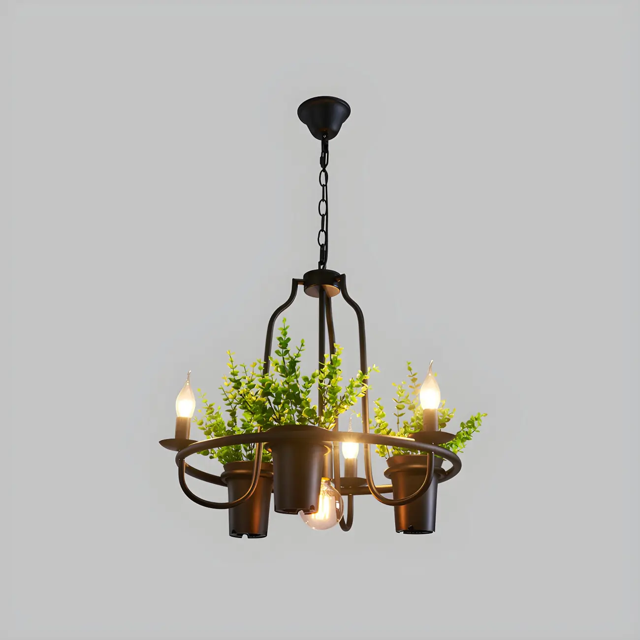 Black Metal Circular Modern Plant Chandelier