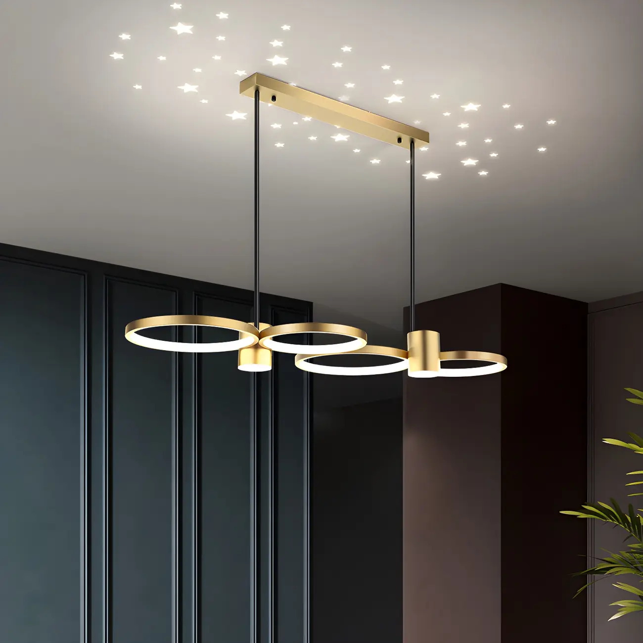 Modern Black Ring Dimming Pendant Light
