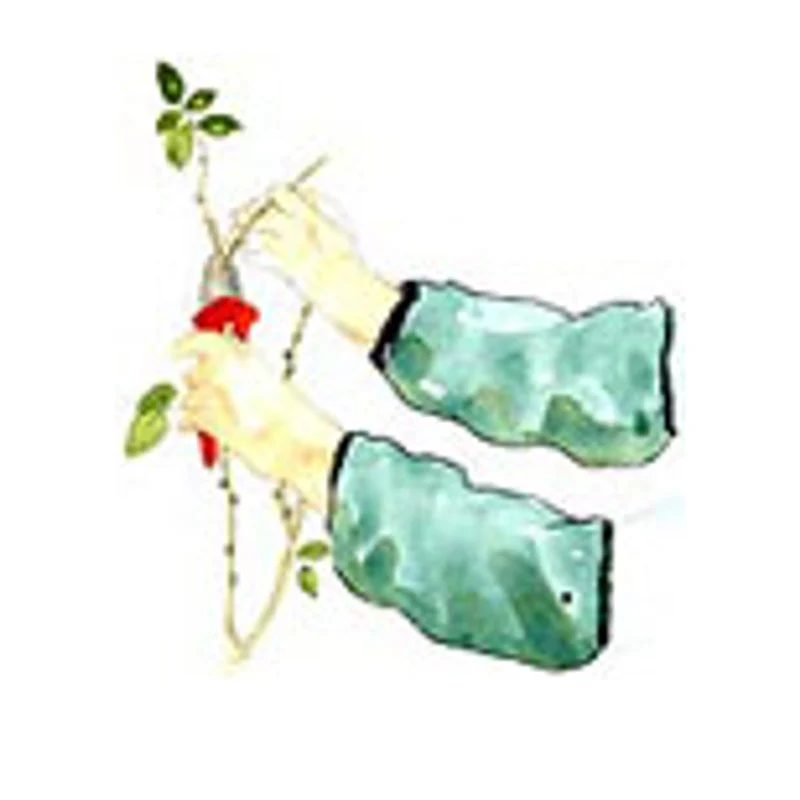 Arm Savers 3