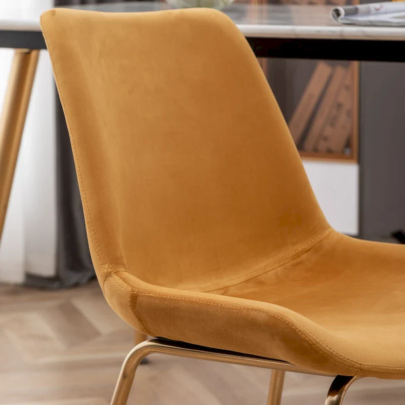 Roundhill Furniture Aufurr Modern Velvet Dining Chair (Set of 2)