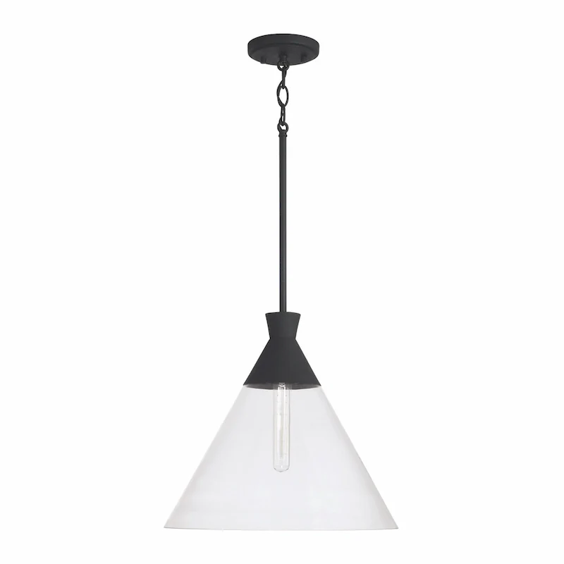 Paloma 1-light Hanging Pendant w/ Clear Glass