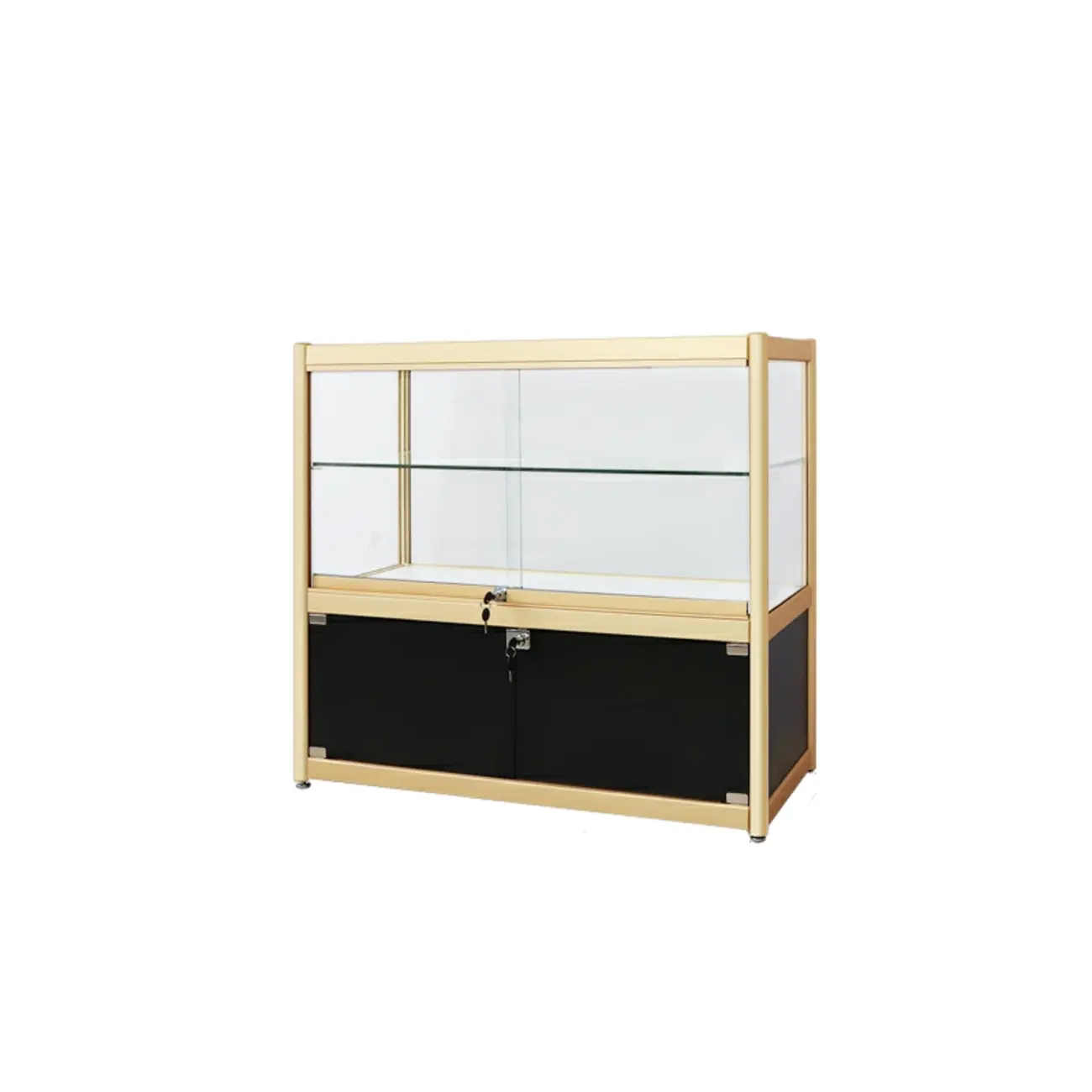 Gold Rectangular Metal Frame Glass Curio Cabinet