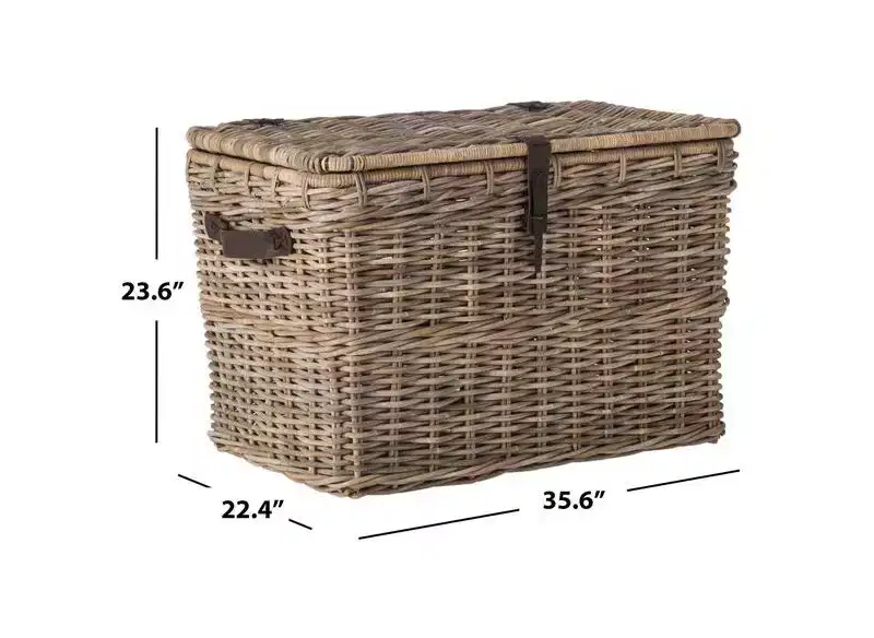 Amancio Trunk - SEA7021 - Grey - Safavieh