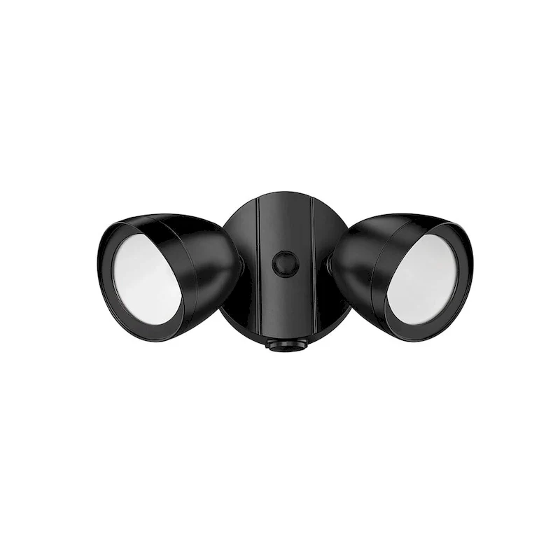 Millennium Lighting 2 Light Flood Lights