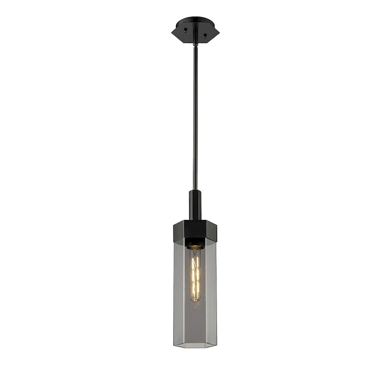 Innovations Lighting Claverack - 1 Light 14  Stem Hung Pendant