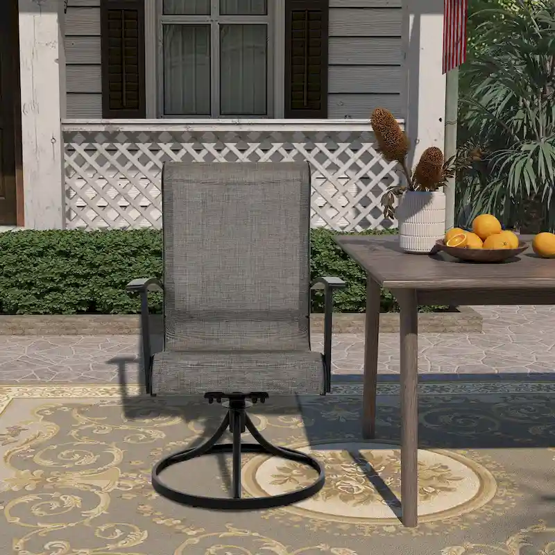 Teslin Iron Frame Swivel Dining Chair (Set of 2)