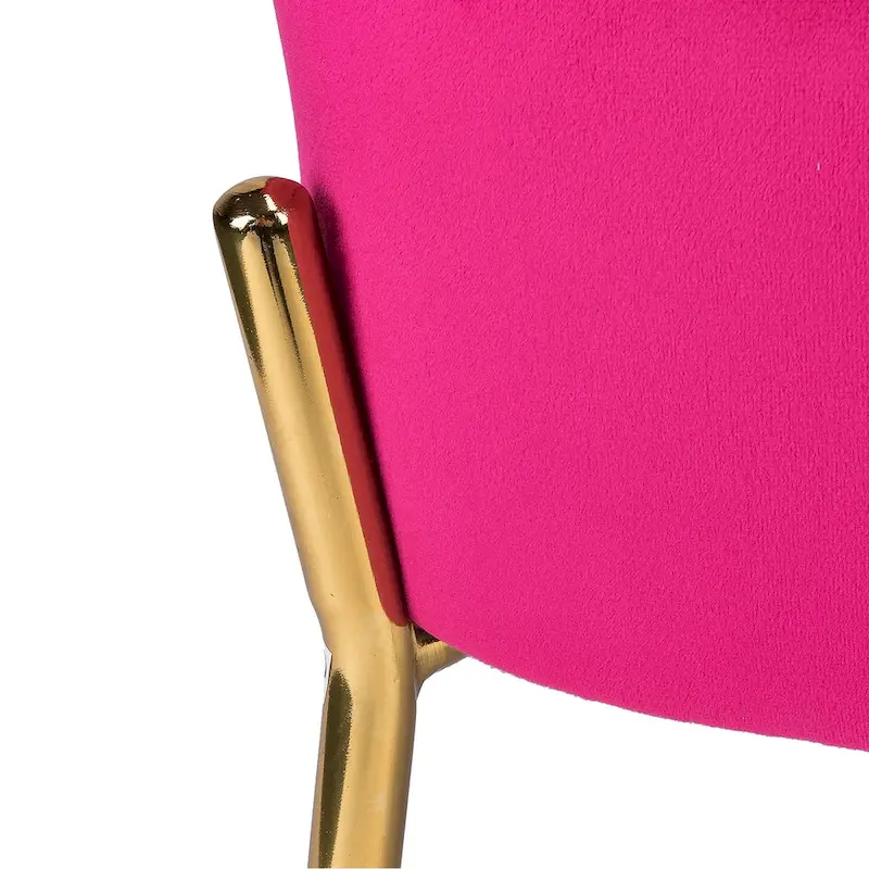 Marina Modern Velvet Accent Chair with Golden Legs Set of 2 by HULALA HOME