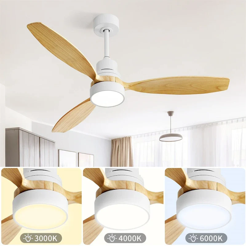 Modern Ceiling Fan With Led Light