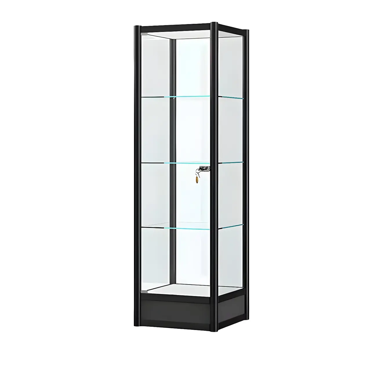 Rectangular Black Clear Glass Metal Frame Curio Cabinet