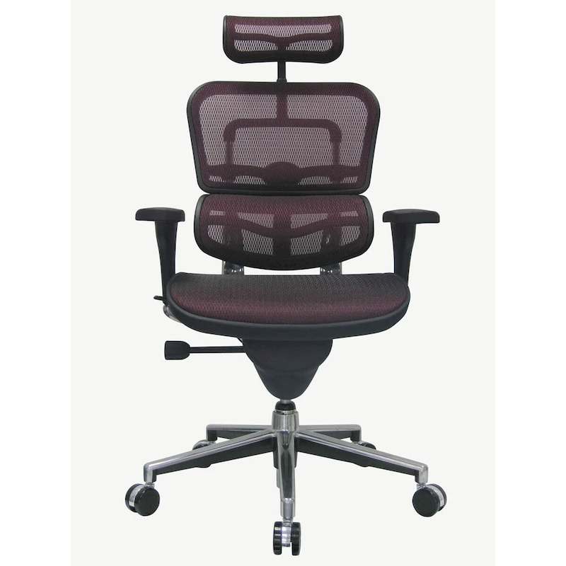 Eurotech Seating Ergohuman Mesh Managers Chair