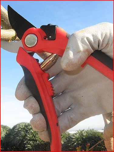 By-Pass Pruners 2