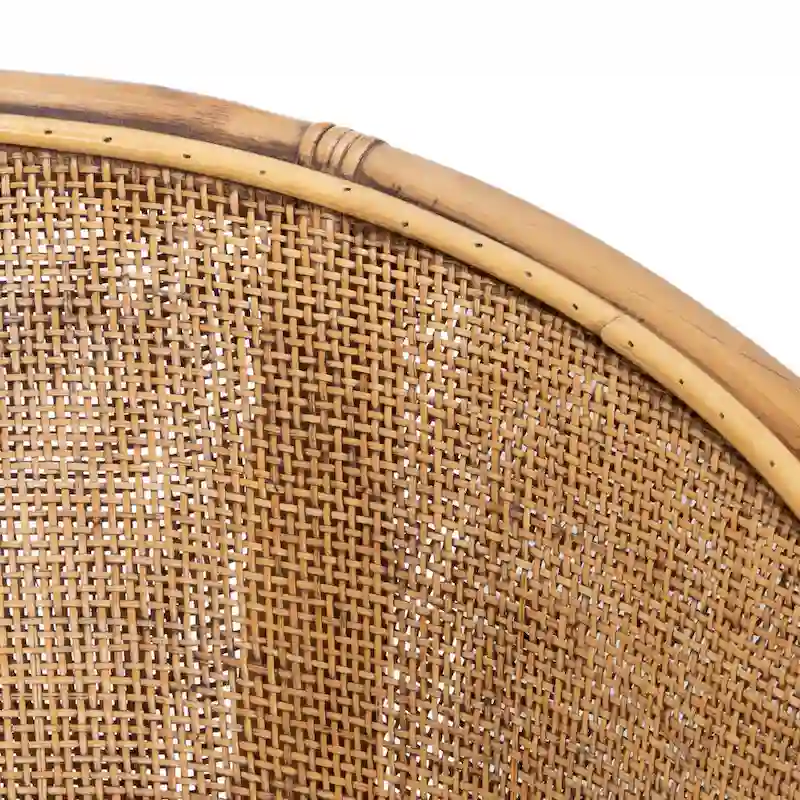 SAFAVIEH Adline Rattan Honey Brown Accent Chair with Cushion - 29.9 W x 25.6 L x 31.5 H - 30Wx26Dx32H