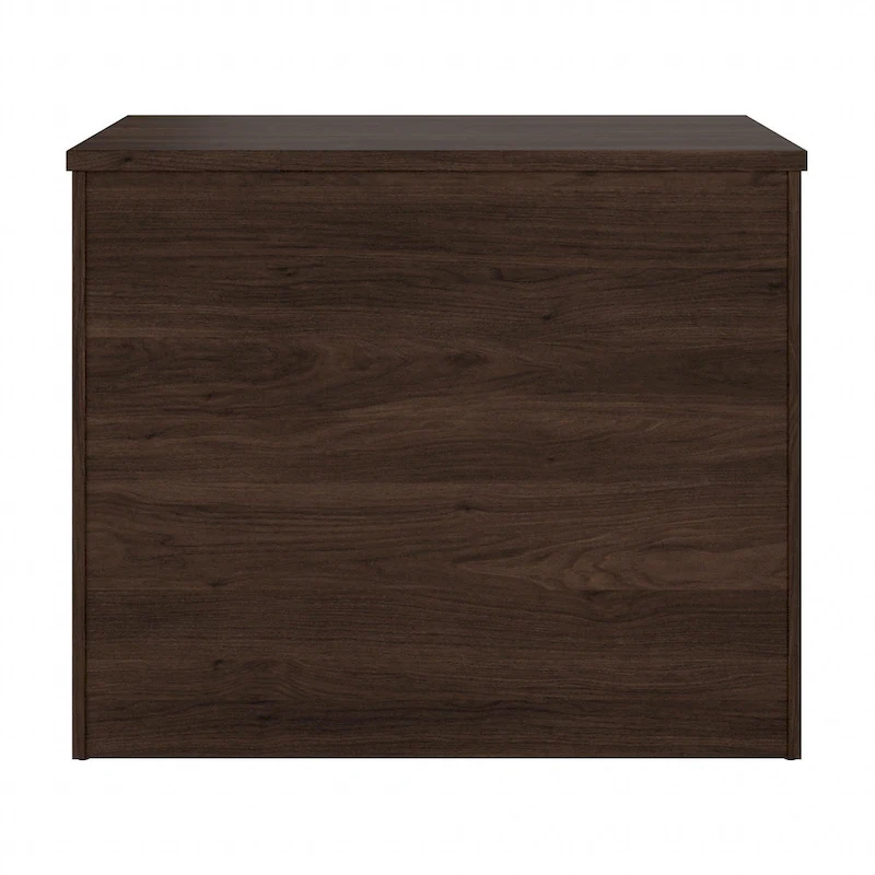 Studio C 2-drawer Lateral File Cabinet by Bush Business Furniture